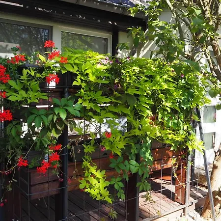 Appartement Gemuetliche Im Reihenhaus